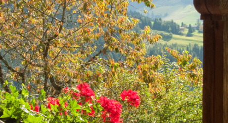 Blick vom Balkon